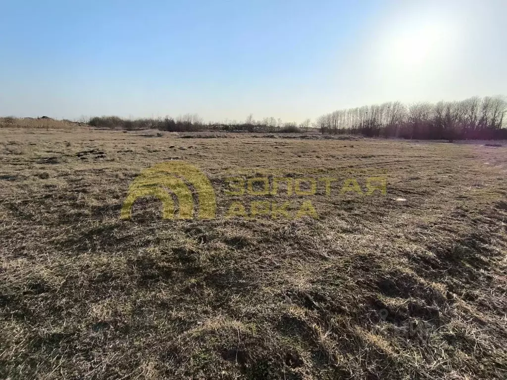 Участок в Краснодарский край, Славянский район, Анастасиевское с/пос, ... - Фото 2