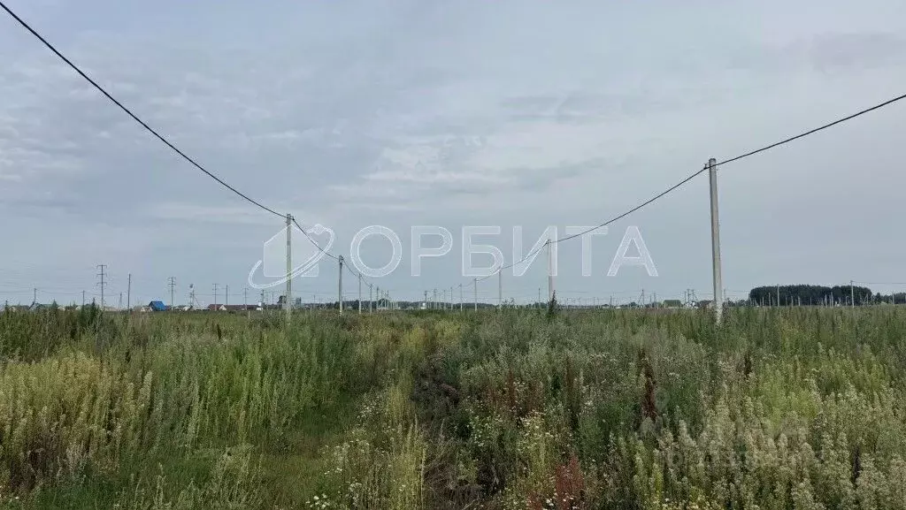 Участок в Тюменская область, Нижнетавдинский муниципальный округ, с. ... - Фото 1