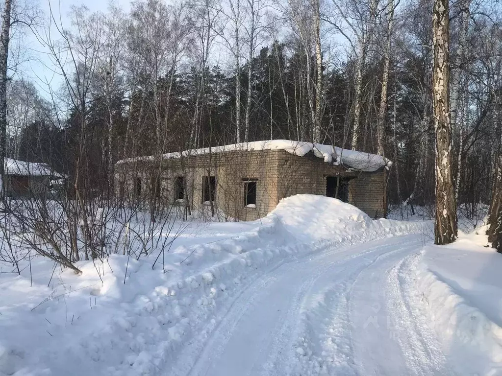 Участок в Алтайский край, Калманский район, пос. Зимари ул. Пионерская ... - Фото 1