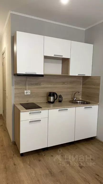 Студия Санкт-Петербург пос. Парголово, проезд Толубеевский, 8к2 (22.1 ... - Фото 1