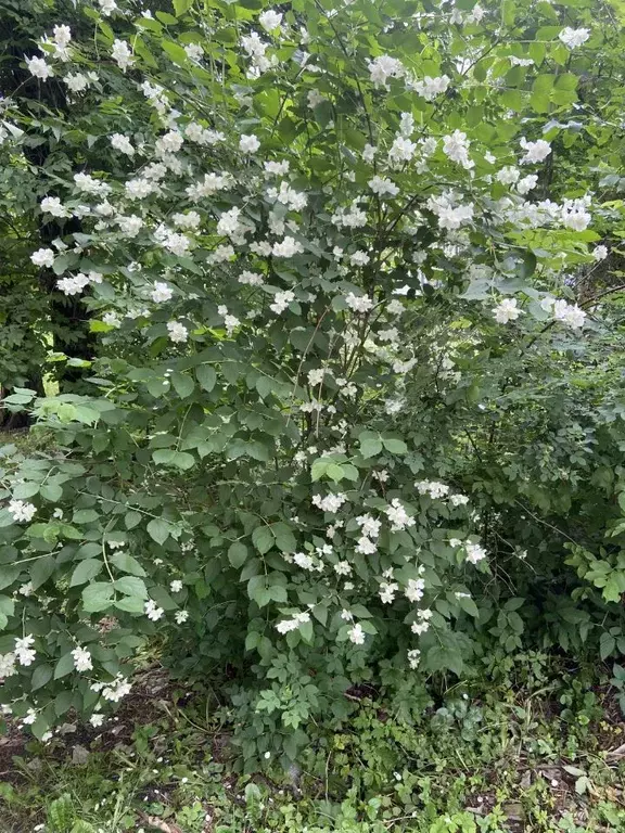 3-к кв. Московская область, Сергиев Посад ул. Дружбы, 11 (58.6 м) - Фото 2