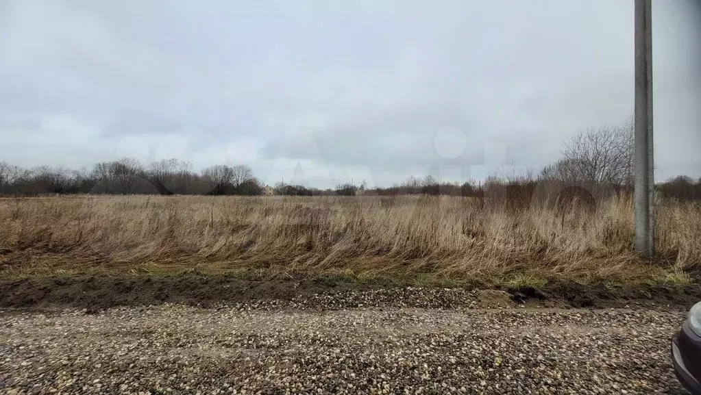 Участок в Костромская область, Кострома ул. Родная (12.2 сот.) - Фото 1