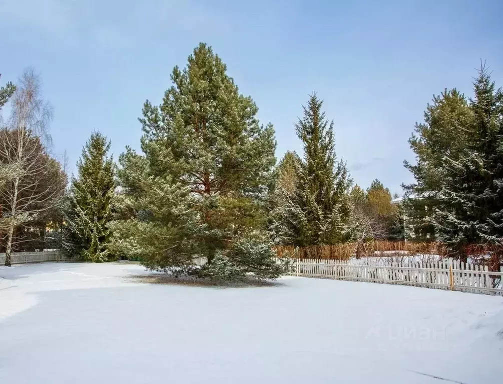Участок в Московская область, Истра муниципальный округ, д. Чесноково ... - Фото 2