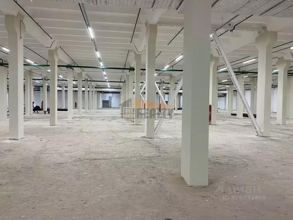 Склад в Москва Рябиновая ул., 45С4 (3000 м) - Фото 1