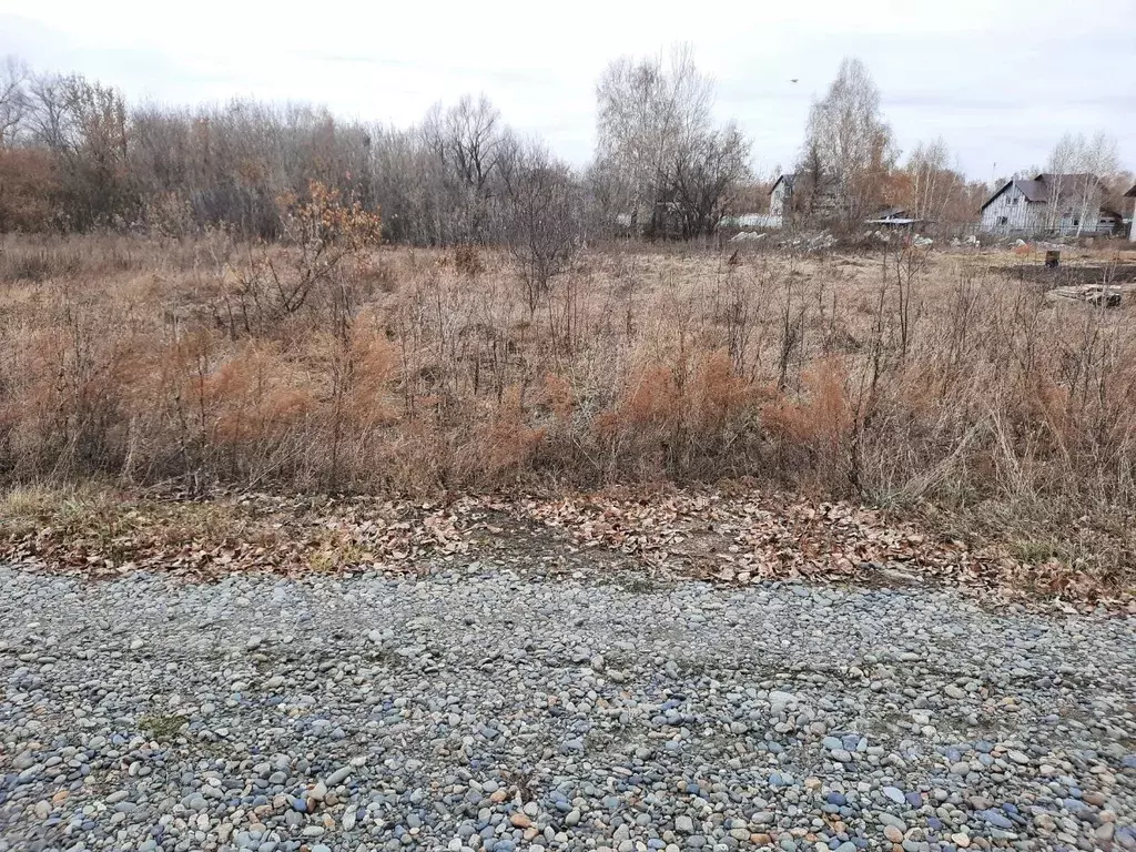 Участок в Алтайский край, Барнаул городской округ, пос. Бельмесево, ... - Фото 2