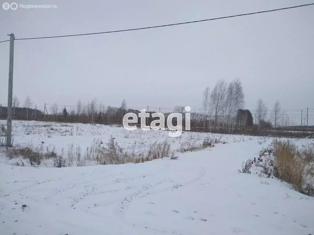 Участок в Ишимский район, село Гагарино (15.02 м) - Фото 0