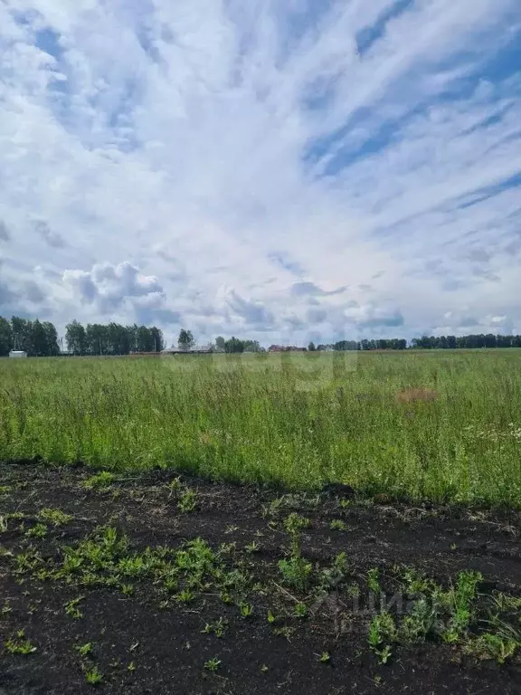 Участок в Мордовия, Лямбирский район, с. Берсеневка  (9.66 сот.) - Фото 0