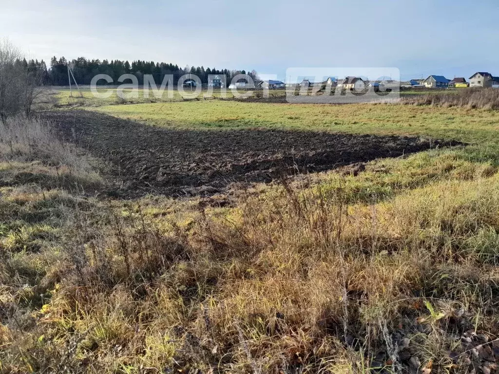 Участок в Вологодская область, Шекснинский муниципальный округ, д. ... - Фото 2