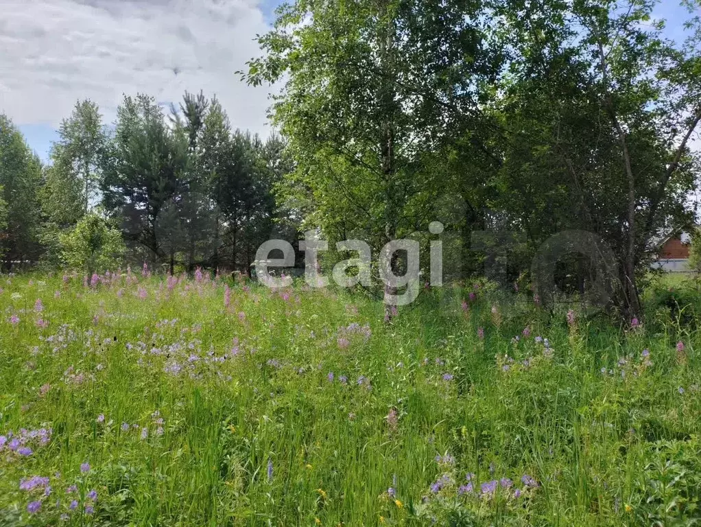 Участок 9,2 сот. (СНТ, ДНП) - Фото 1