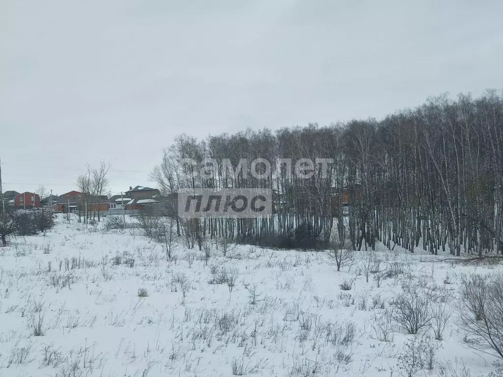 Участок в Курская область, Курский район, Нижнемедведицкий сельсовет, ... - Фото 1
