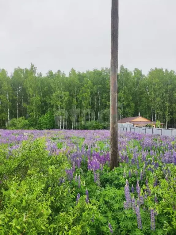 Участок в Владимирская область, Киржачский муниципальный округ, ... - Фото 2