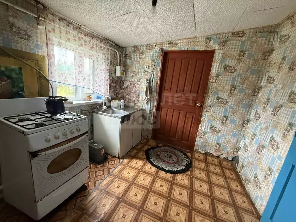 Дом в Оренбургская область, Соль-Илецкий муниципальный округ, с. ... - Фото 1