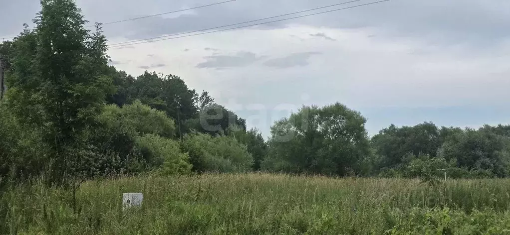 Участок в Калининградская область, Багратионовский муниципальный ... - Фото 2