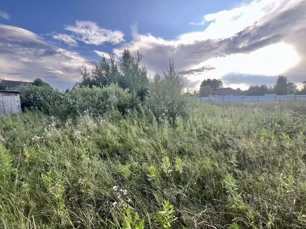 Участок в Тюменская область, Тюменский муниципальный округ, с. ... - Фото 1