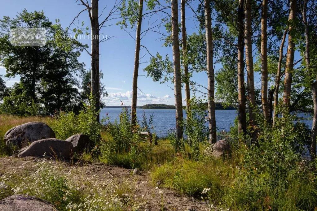 Участок в Ленинградская область, Приозерский район, Громовское с/пос, ... - Фото 2