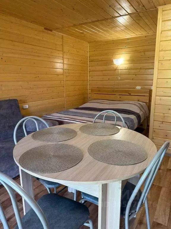 Дом в Алтай, Чемальский район, с. Чемал ул. Кольцевая, 65А (24 м) - Фото 2