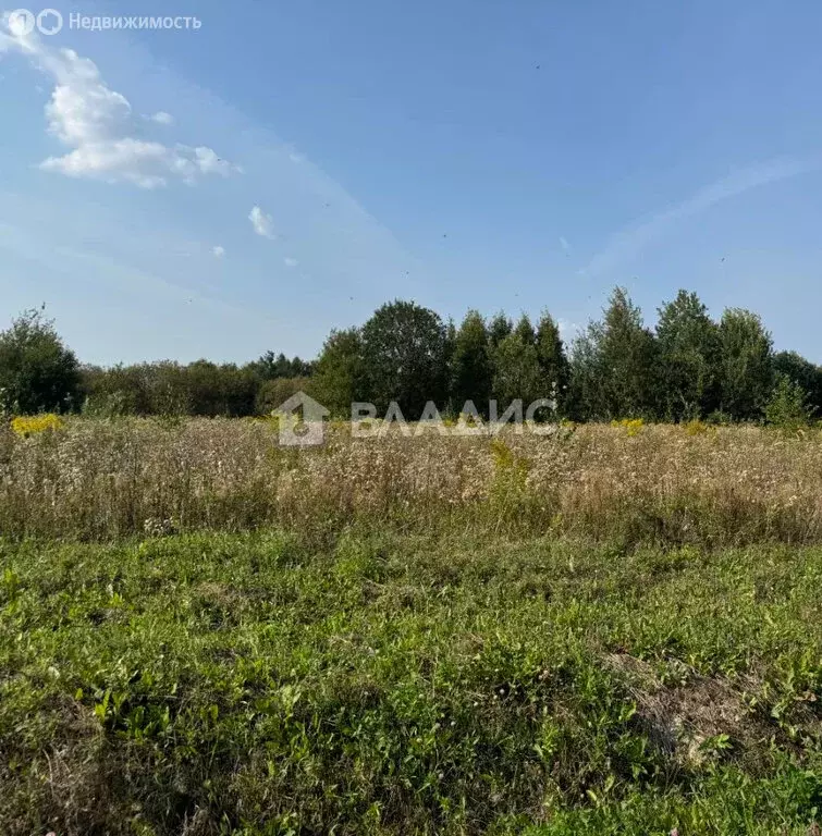 Участок в Московская область, городской округ Воскресенск, село ... - Фото 1