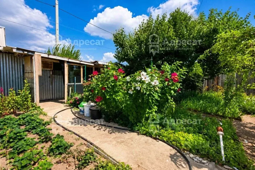 Дом в Волгоградская область, Волгоград Дзержинец СНТ,  (40 м) - Фото 1