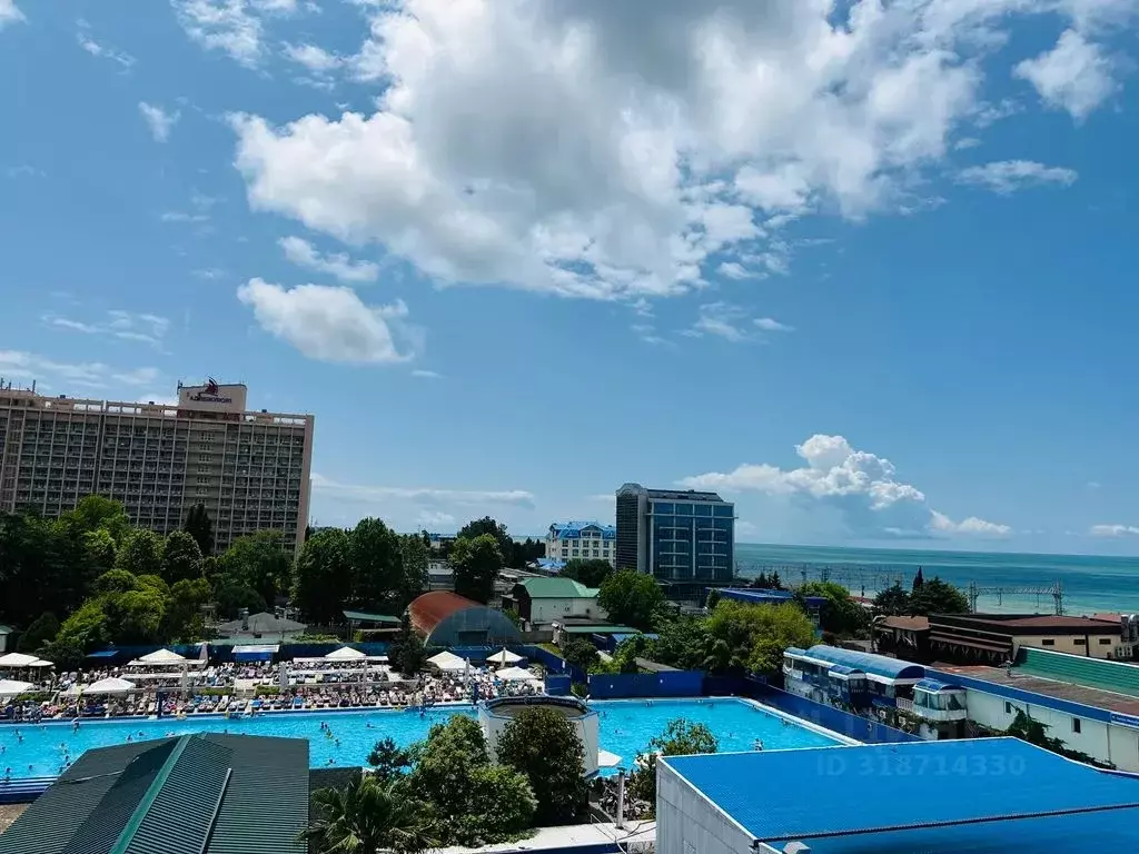 1-к кв. Краснодарский край, Сочи ул. Ленина, 219/21 (50.0 м) - Фото 0