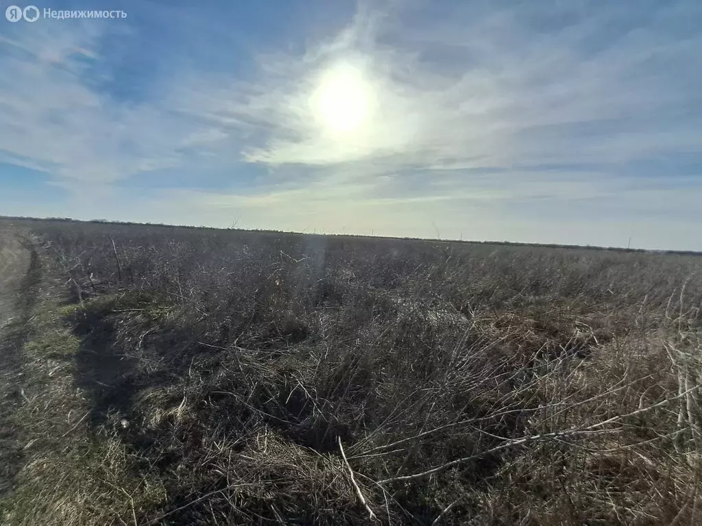Участок в Ейск, Ивановская улица (6 м) - Фото 1