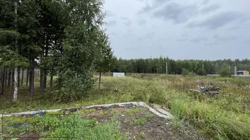 Участок в Свердловская область, Екатеринбург муниципальное ... - Фото 1