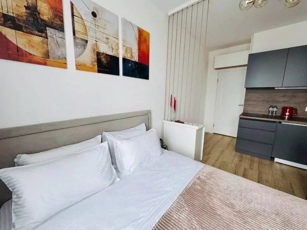 1-к кв. Санкт-Петербург просп. Крузенштерна, 4 (26.0 м) - Фото 1