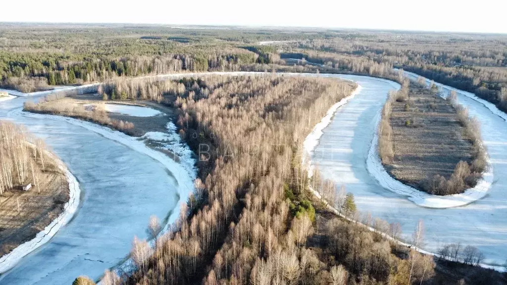 Участок в Тверская область, Калязинский муниципальный округ, д. Вески ... - Фото 2