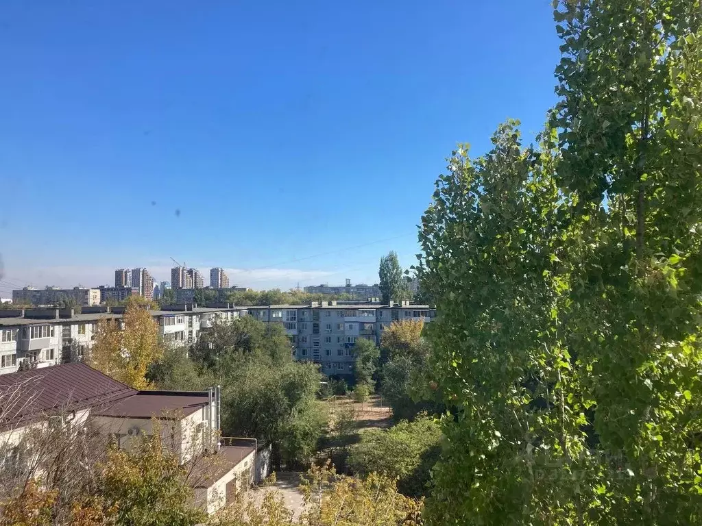 3-к кв. Волгоградская область, Волгоград Елецкая ул., 18 (66.2 м) - Фото 1