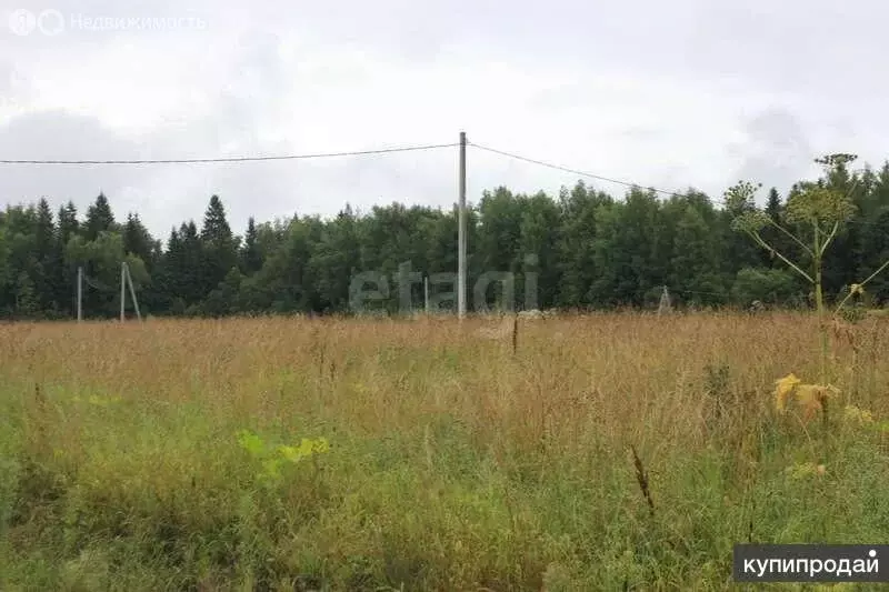 Участок в Уфимский район, Михайловский сельсовет, деревня Суровка (8 ... - Фото 1