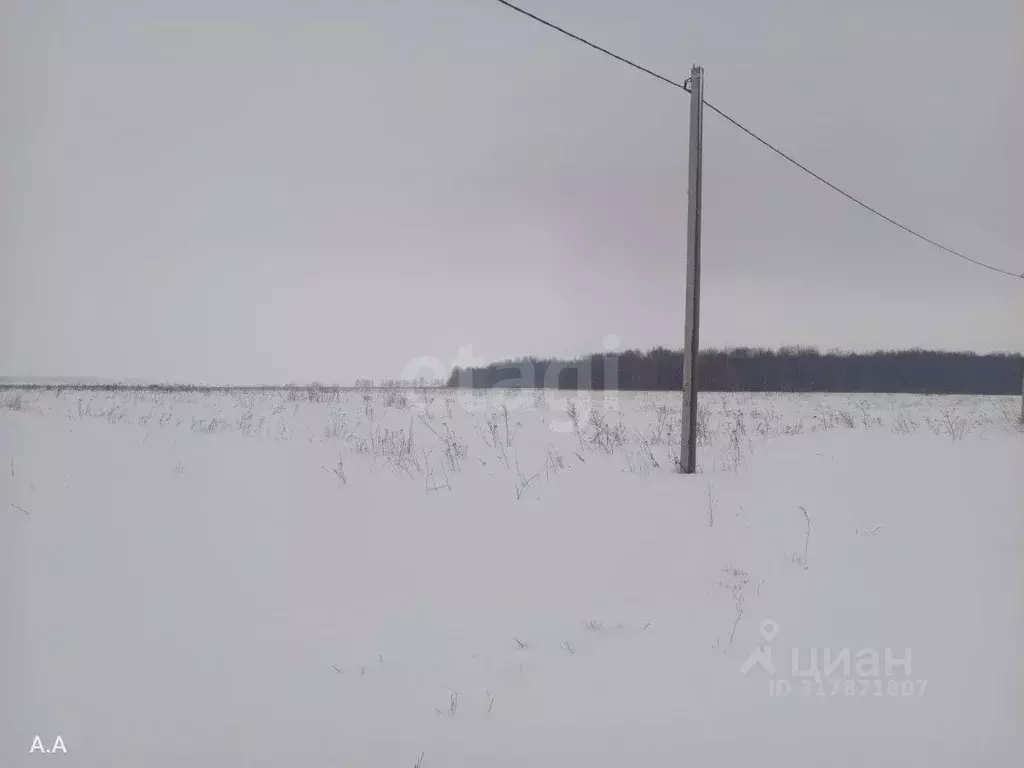 Участок в Мордовия, Лямбирский район, с. Инят Лесная ул. (25.0 сот.) - Фото 0