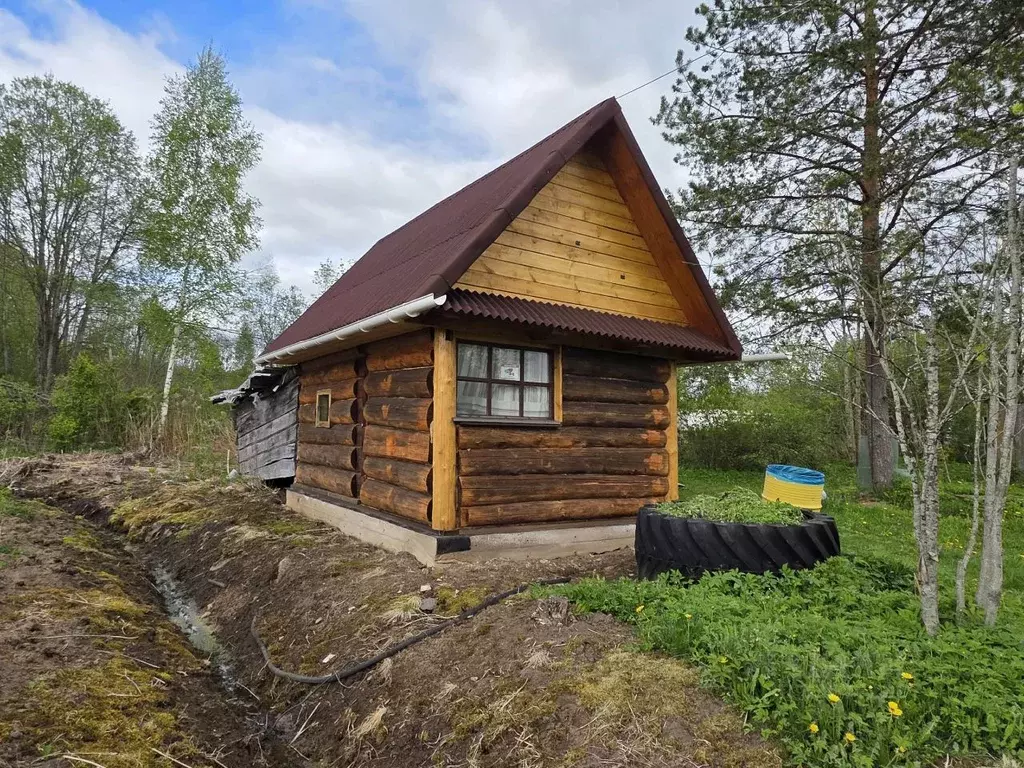 Дом в Новгородская область, Любытинский муниципальный район, ... - Фото 2
