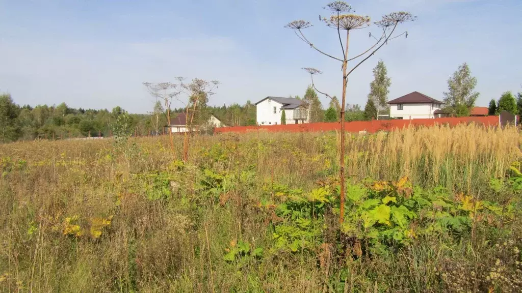 Участок в Московская область, Рузский муниципальный округ, д. Гомнино  ... - Фото 1