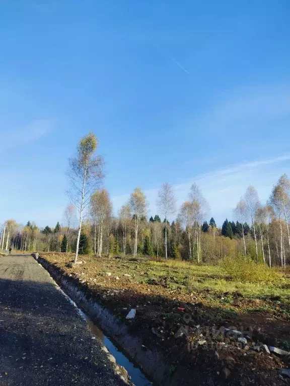 Участок в Московская область, Клин городской округ, Малахитовые дачи ... - Фото 1