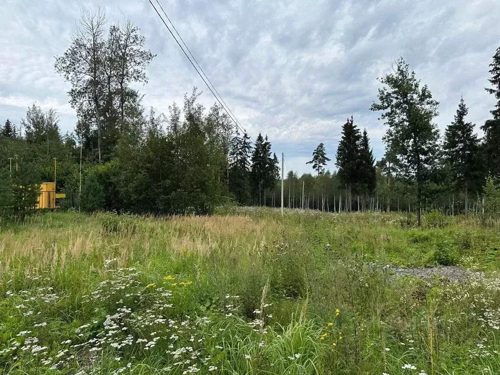 Участок в Московская область, Рузский муниципальный округ, ДТСН ... - Фото 1