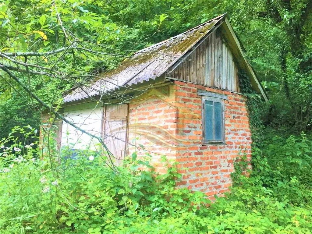 Участок в Краснодарский край, Туапсинский муниципальный округ, с. ... - Фото 1