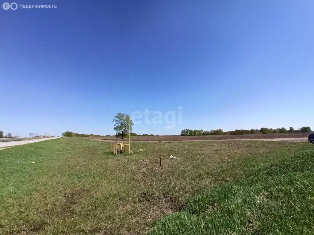 Участок в Улыбинский сельсовет (177 м) - Фото 1