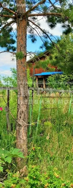 Дом в Кемеровский муниципальный округ, СДТ Зенит (45 м) - Фото 0
