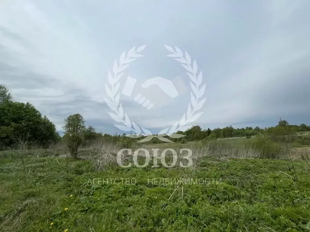 Участок в Калужская область, Сухиничский район, Юрьево с/пос, д. ... - Фото 2