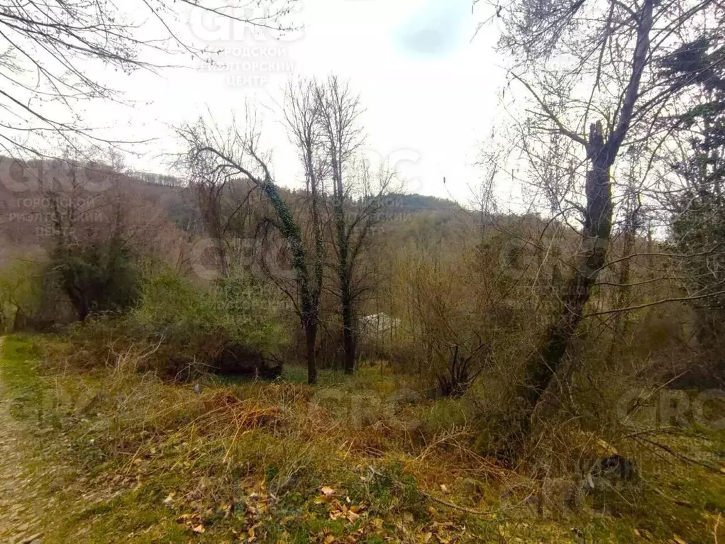 Участок в Краснодарский край, Сочи городской округ, с. Горное Лоо ул. ... - Фото 1