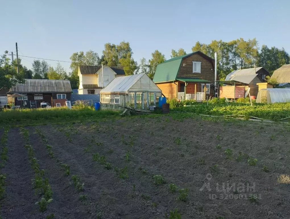 Дом в Костромская область, Кострома Северный СНТ,  (20 м) - Фото 2