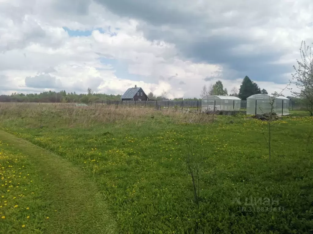 Участок в Московская область, Орехово-Зуевский городской округ, д. ... - Фото 1