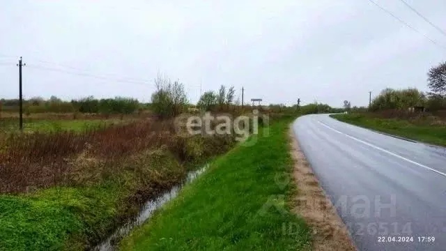 Участок в Калининградская область, Гвардейск  (12.0 сот.) - Фото 2