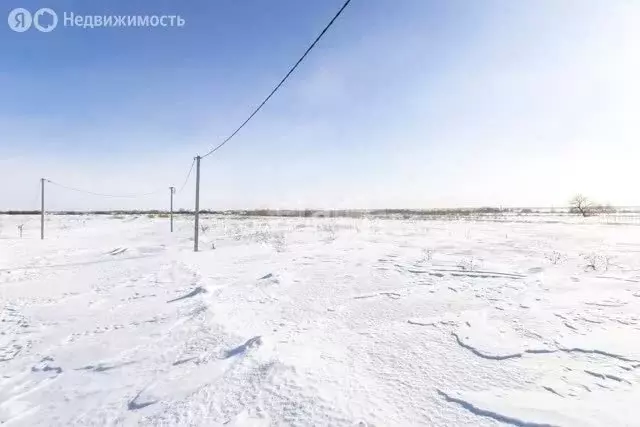 Участок в Тюменский муниципальный округ, деревня Есаулова, КП Клюква ... - Фото 2