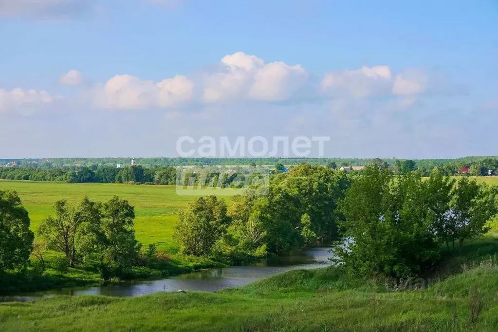 Участок в Липецкая область, Лебедянский район, Ольховский сельсовет, ... - Фото 1