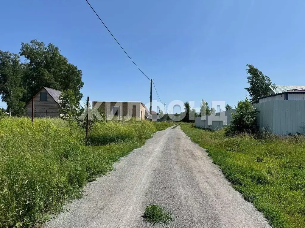 Участок в Новосибирская область, Новосибирский район, с. Верх-Тула ... - Фото 0
