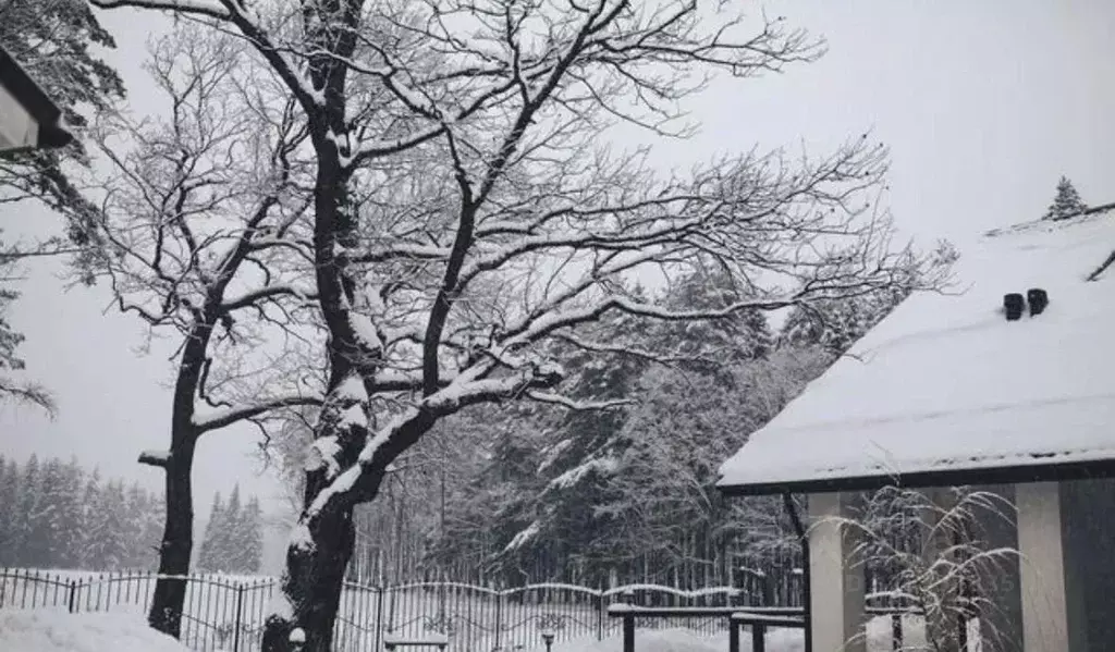 Дом в Московская область, Солнечногорск городской округ, с. Алабушево ... - Фото 2