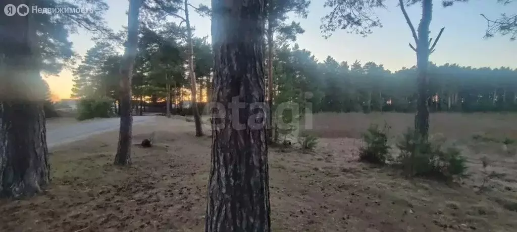 Участок в посёлок Самусь, улица Карла Маркса (5.77 м) - Фото 1