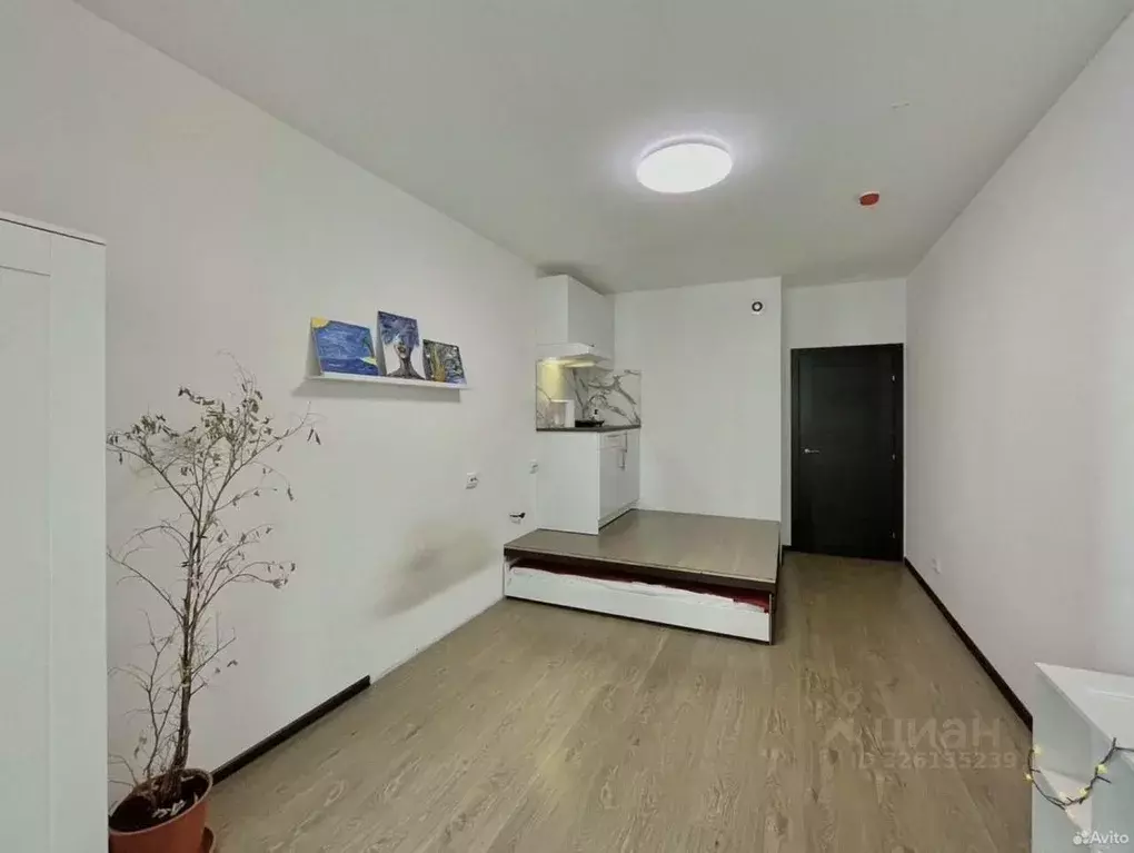 Студия Санкт-Петербург 1-й Предпортовый проезд, 13 (24.0 м) - Фото 1