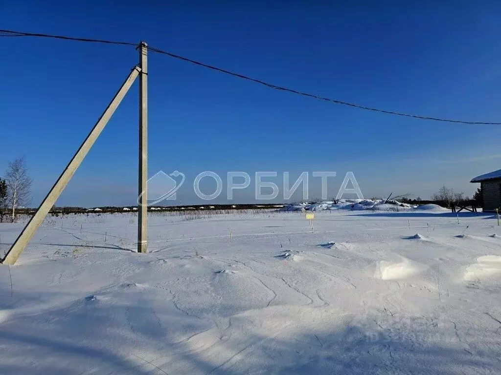 Участок в Тюменская область, Тюменский муниципальный округ, с. ... - Фото 2