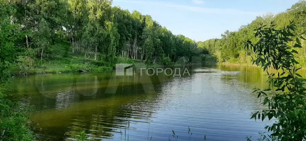 Участок 12 сот. (СНТ, ДНП) - Фото 1